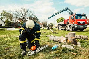 Titan Tree Services Calgary photo 9